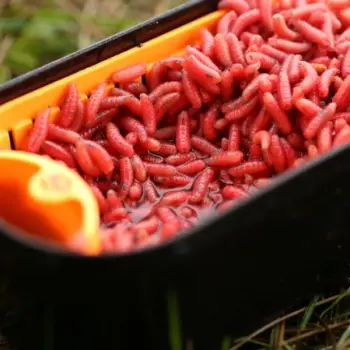 GURU Bait Strainer 1 pint