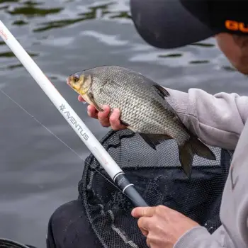 GURU Aventus Zero 600 System Whip 8m