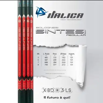 ITALICA Sintesi Regular 8m