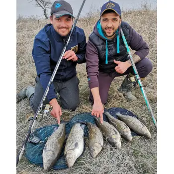 ITALICA Fortexa FBP Medium 6m