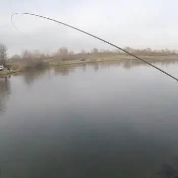 ITALICA Aria Bolo Medium 6m without guides