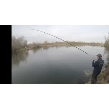 ITALICA Aria Bolo Medium 6m