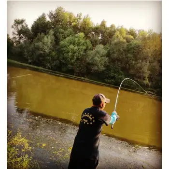 ITALICA Fortexa FBP Medium 5m