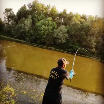 ITALICA Fortexa FBP Light 7m