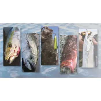 JACKALL Big Backer Jig 68mm 40g Sinking