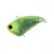 TACKEY CHARTREUSE NEON - - КОД : 4582418095862 