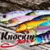 JACKALL Knockin' Jaw 46mm 7g Sinking