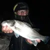 JACKALL Good Meal Shad 1.5 inch