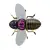 PINK BACK CICADA - - КОД : 4525807180954 