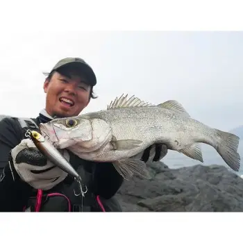 JACKALL Big Backer FallTrick 84mm 27.7g Sinking