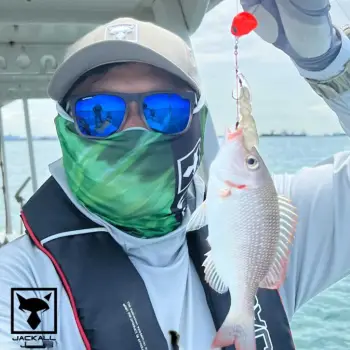 JACKALL Taimu Esa Keeper