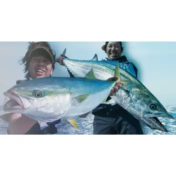 JACKALL Big Backer Anchopeed Slimlong 120mm 35g Sinking