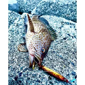 JACKALL Big Backer Rushblade 75mm 40g Sinking