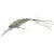 SIGHT BOTTOM SHRIMP TYPE II - - КОД : 4525807253238 