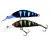 UV MAT BLACK PERCH - - КОД : 
4525807293616
 