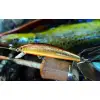 JACKSON Trout Tune 55F 55mm 3g Floating