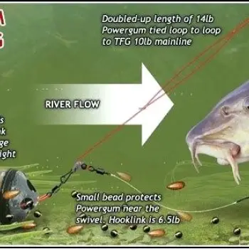 KAMASAN Black Cap Feeders Mini