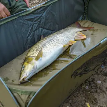 KORUM Classic Barbel Fast Mat