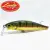 Aurora Gold Northern Perch - - КОД : 802897238845 