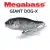 MEGABASS Giant Dog-X SW 98mm 16.5g Floating