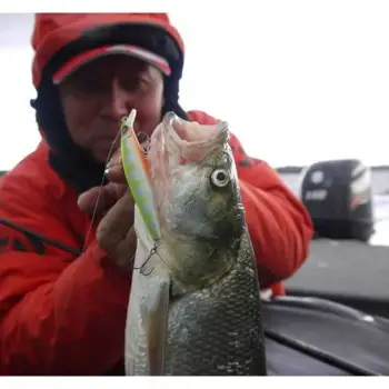 MEGABASS Marine Gang 90S 90mm 11.5g Sinking