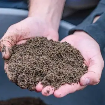 MAINLINE Sweet Marine All Round Fishmeal Groundbait 2kg