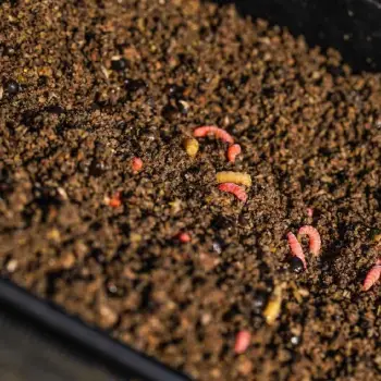 MAINLINE Pro Active All Round Cereal Groundbait 2kg