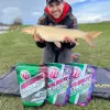 MAINLINE Big River Barbel 1kg