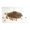 MITERSON Arena Pellets 8mm