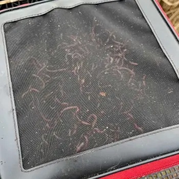 NYTRO Starkx 1414 EVA Live Bait Ventilation Bowl XSmall