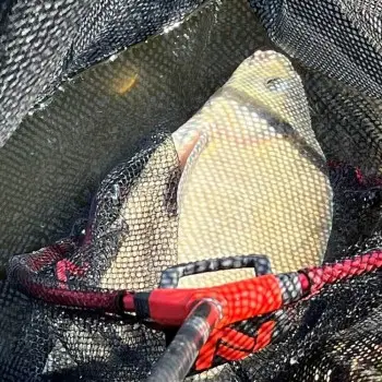 NYTRO Spoon Net Latex Big Fish 18 - 45cm