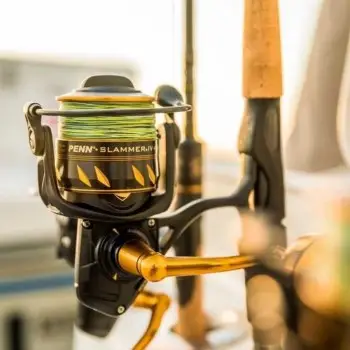 PENN Slammer IV 7500