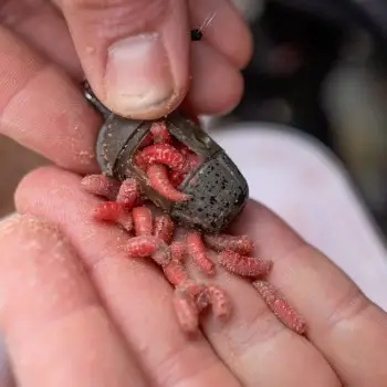 PRESTON ICM In-Line Maggot Feeder