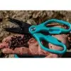 RIVE Worm Scissors