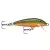 Brook Trout BTR - - КОД : 
F05BTR 