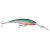 Rainbow Trout Flash RTF - - КОД : TDD11RTF 