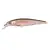 Rainbow Trout -  - КОД : 4380-208 
