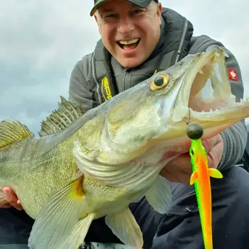 SPRO Iris V-Power 16cm 13g