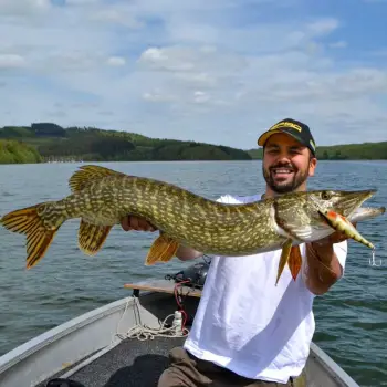 SPRO PikeFighter MW 13cm 47gr F