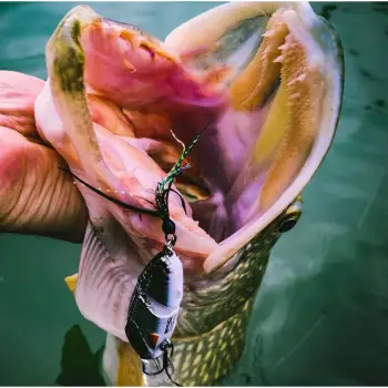 SPRO IRIS Underdog Jointed 80 18g