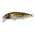Brown Trout - - КОД : 4867-3110 