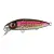 Rainbow Trout - - КОД : 4867-3111 