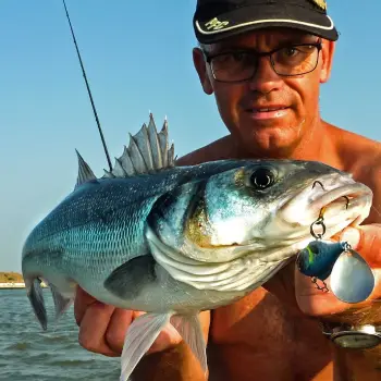 SPRO ASP Spinner UV 21g