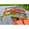 SAVAGE GEAR Gobster Shad 9cm 9g