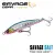 Pink Belly Sardine - - КОД :
SVS73522 