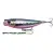 Pink Belly Sardine PHP - - КОД : SVS64088 