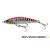 Pink Barracuda PHP - - КОД : SVS71399 