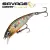 Brown Trout Smolt - - КОД : 
SVS72322 
