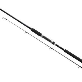 SHIMANO Salty Advance Spinning Sea Bass 96ML 290cm 6-32g