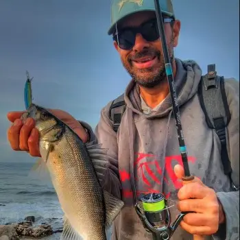 SHIMANO Bantam Zumverno 95SP FB 95mm 10g Suspending